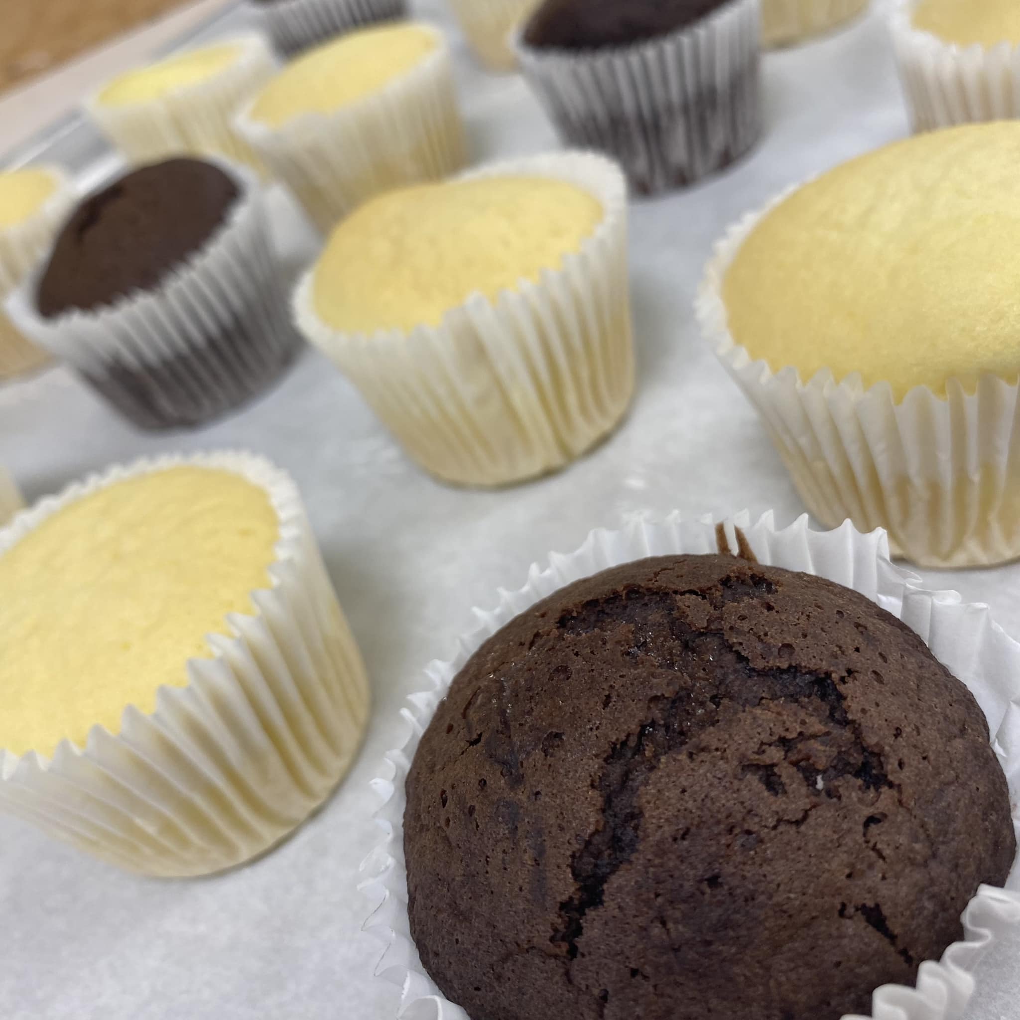Gluten-free vanilla and chocolate cupcakes